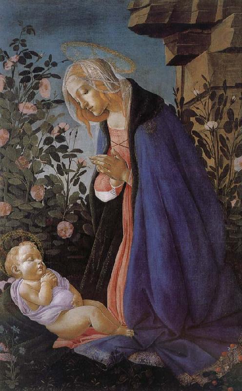 Sandro Botticelli Our Lady of the Son and the sleeping china oil painting image